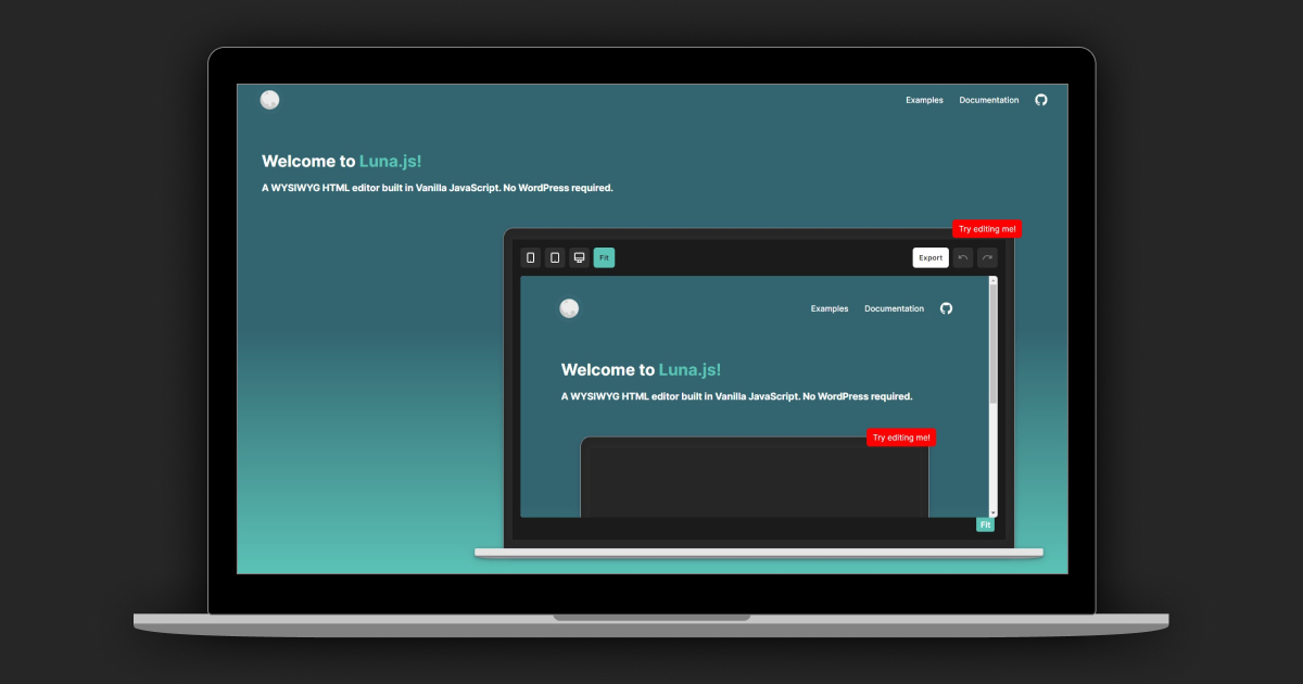 Computer showing the Luna.js demo